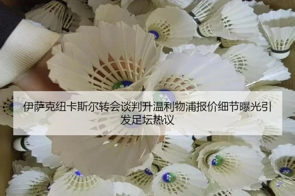 伊萨克纽卡斯尔转会谈判升温利物浦报价细节曝光引发足坛热议